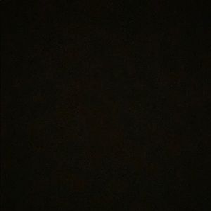 Meet your Posher, Audrey